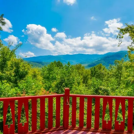 Treetop Retreat